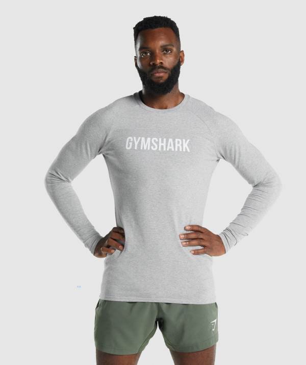 Panske Mikiny Gymshark Apollo Long Sleeve Svetlo Siva | CT8306491